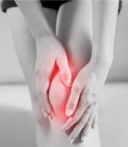 Knee & Back pain