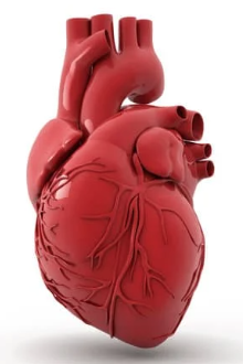 Pericardial Effusion